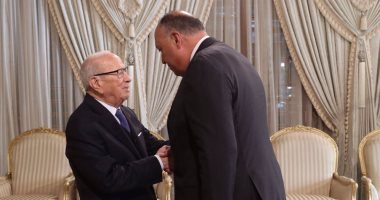 وزير الخارجية يبحث مع الرئيس التونسى جهود مصر لدعم المسار السياسى فى ليبيا