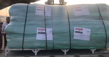صور.. مصر تقدم 120 طنا من المساعدات الإنسانية إلى مسلمى الروهينجا