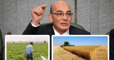 الزراعة: الصين تفتح أسواقها أمام التمور المصرية.. وبدء إجراءات استيراد الرمان