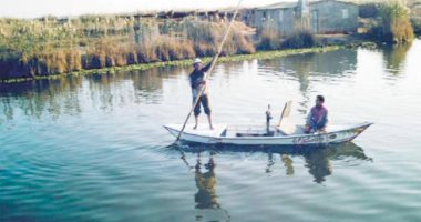 نقيب الصيادين بالبحيرة: تطهير بحيرة إدكو غير خواص المياه ونعانى من التلوث