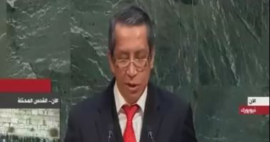 ممثل إندونيسيا: قرار واشنطن بشأن القدس غير مقبول ويبعدنا عن حل الدولتين