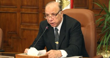 محافظ القاهرة يوجه بتعميم تجربة زراعة أسطح المنشآت الحكومية بالمطرية