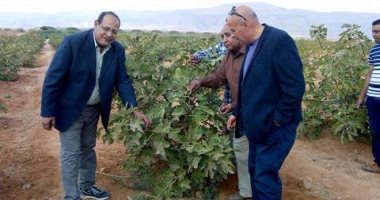 صور.. مدير منطقة تعمير جنوب سيناء يتفقد المزرعة النموذجية بمدينة أبو زنيمة