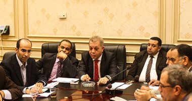 النائب محمد خليفة يطالب بإنشاء قصر ثقافة بالمحلة.. والوزيرة تشكل لجنة لنظر الأمر