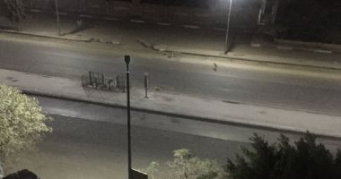 الكلاب الضالة تثير الذعر لسكان شارع ممدوح سالم فى مدينة نصر