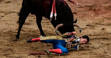 إصابة 3 أشخاص خلال مهرجان لمصارعة الثيران بإسبانيا