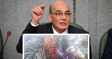 محمد سعد يطالب الحكومة بالترويج للتمور المصرية والحفاظ على 15 مليون نخلة