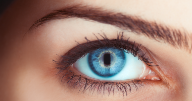 اعرف جسمك.. العصب السادس عصب حركة العين المرتبط بالمخ