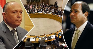 ما هى أبرز سيناريوهات تعامل مجلس الأمن مع طلب مصر لحل أزمة "سد النهضة"