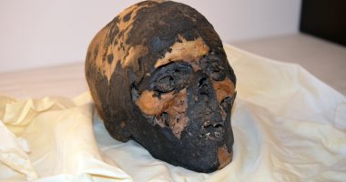 إعادة جمجمة مومياء فرعونية لمصر بعد 90 عاما من تهريبها إلى أمريكا