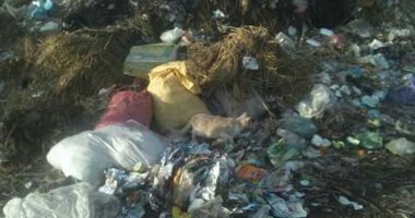 شكوى من تراكم القمامة بترعة سحبان بقرية الكراكات فى كفر الشيخ
