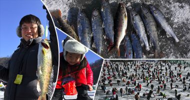مهرجان صيد الأسماك بكوريا الجنوبية