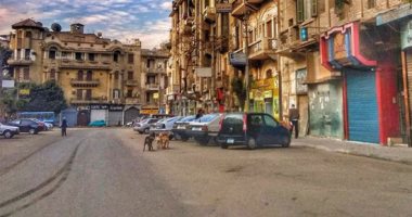 انتشار الكلاب الضالة يزعج سكان شارع دمشق فى مصر الجديدة