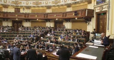 نواب البرلمان: انتخاب السيسى ضرورة لاستكمال مسيرة الإنجازات.. فيديو