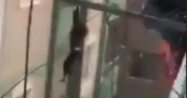 تداول فيديو لسقوط سيدة من الطابق السابع بحدائق المعادى بعد محاولة سرقتها