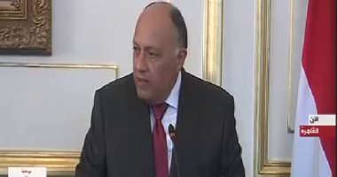 وزير الخارجية: مصر تسعى لتوسيع حركة التجارة مع إثيوبيا