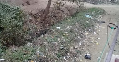 شكوى من انهيار جسر مسقة أبو قربة فى قرية الشهيد فكرى بالمنوفية