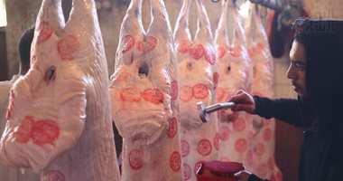 الخدمات البيطرية: استمرار الحملات بأسواق اللحوم والدواجن لضبط المخالفين