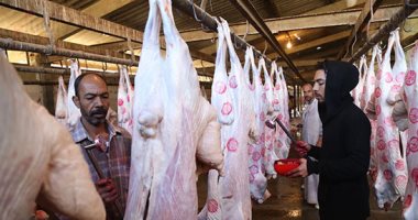 تقرير لـ"الزراعة": 126 ألف رأس ماشية مذبوحات بالمجازر خلال 30 يوما