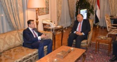 النائب طارق رضوان: اتفقنا مع وزير الخارجية على تكثيف التواصل والتعاون