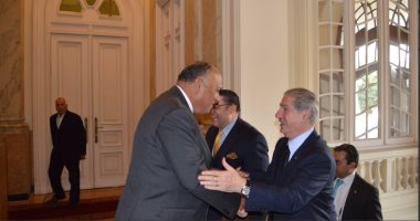 وزير الخارجية يؤكد للرئيس اللبنانى الأسبق دعم مصر لوحدة واستقرار لبنان 