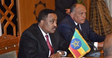 وزير الخارجية: توقيع مذكرات التفاهم بين مصر وإثيوبيا خلال أعمال الشق الرئاسى