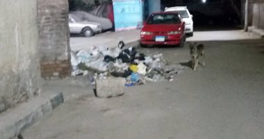 تراكم أكوام القمامة فى شارع مصطفى تركى بالزيتون والأهالى يطالبون بصناديق