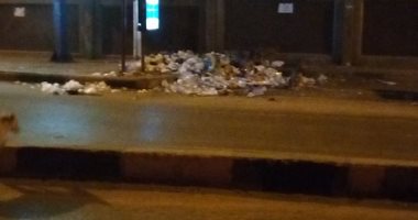 تراكم القمامة وانتشار الكلاب الضالة فى شارع نادى الصيد بالدقى.. صور 