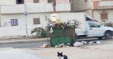 صور.. القمامة والصرف الصحى تجتاح مدينة غرب النوبارية الجديدة