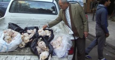 ضبط 250 كيلو دجاج فاسد داخل ثلاجة مطعم "شهير" بحى الضواحى فى بورسعيد