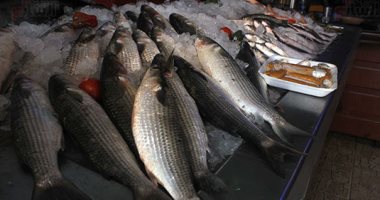 أسعار السمك اليوم السبت 5-1-2019 بسوق العبور