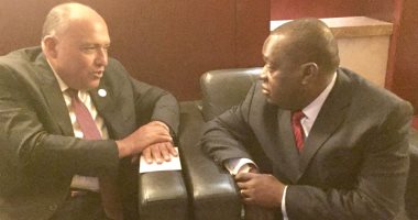 وزير الخارجية يلتقى نظيره الزيمبابوى على هامش قمة الاتحاد الأفريقى