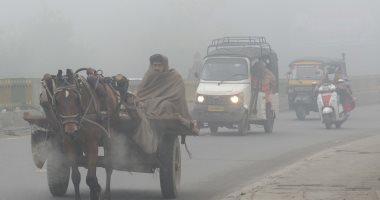 صور.. استمرار موجة الضباب الدخانى فى الهند