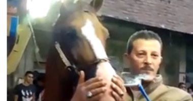 فيديو رجل يجبر حصانه على تدخين الحشيش بفرح شعبى يغضب رواد مواقع التواصل