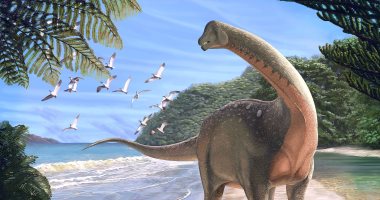 اكتشاف حفرية ديناصور بطول 10 أمتار ووزن 5.5 طن فى الصحراء الغربية