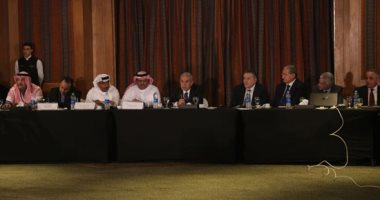 مجلس الأعمال يدعو الشركات السعودية لتوسيع الاستثمارات بمصر
