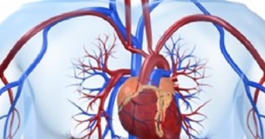6 معلومات لا تعرفها عن الجلطات القلبية وكيفية علاجها.. تعرف عليها