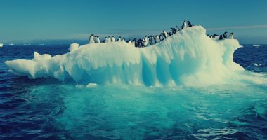 علماء بيئة يسعون لإنشاء ملاذ بحرى بالقطب الجنوبى لحماية الحيوانات