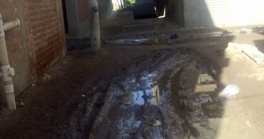صور.. اضبط مخالفة.. غرق شوارع قرية التوفيقية بدمياط بسبب الأمطار