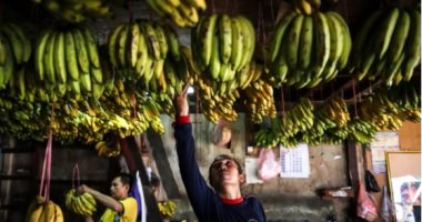 تعرف على أصناف وأسعار الموز داخل سوق العبور الكيلو يبدأ من 5 جنيهات