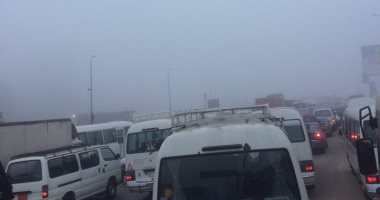 صور.. قارئ يرصد توقف حركة السير أعلى محور 26 يوليو بسبب الشبورة