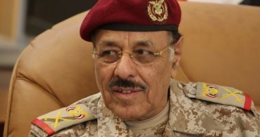نائب رئيس اليمن: "الجزيرة" تحرض ضد دول التحالف.. وإيران تسعى لاختراقنا