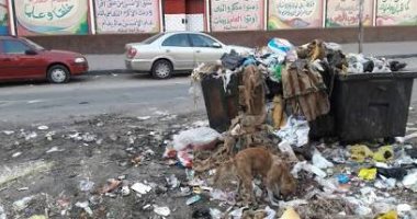 قارئ يطالب برفع القمامة من أمام مدرسة جواد حسنى بشارع السودان المهندسين