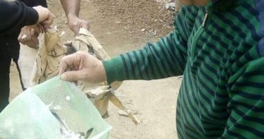 صور.. حملة لتنظيف المقابر بقرى أبو المطامير بالبحيرة