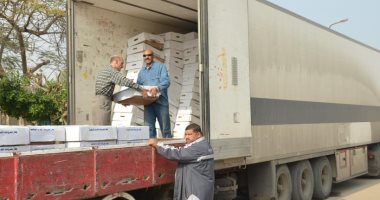 صور .. سكرتير مساعد الإسماعيلية يوزع 4000 دجاجة مجمدة على 2000 أسرة