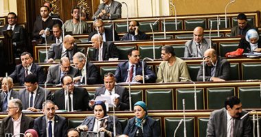 البرلمان يعلن دعمه الكامل لجهود  القوات المسلحة فى محاربة الإرهاب 