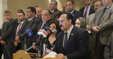 النائب هشام عبد الواحد: نقف داعمين لتوجهات الرئيس السيسى ونجدد البيعة له