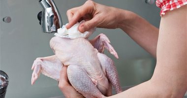 تعرفى على الطريقة الصحيحة لتنظيف الدجاجة حتى لا تكون مصدرا للأمراض 