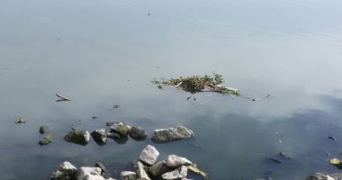 قارىء يستغيث من تلوث مياه النيل فى البحيرة بمخلفات البناء والمصانع