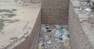 صور.. شكوى من انتشار القمامة بمحيط معبد الأقصر